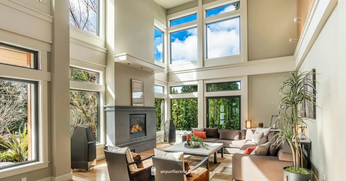 Airmega 400 Overview - Air Purifier Info