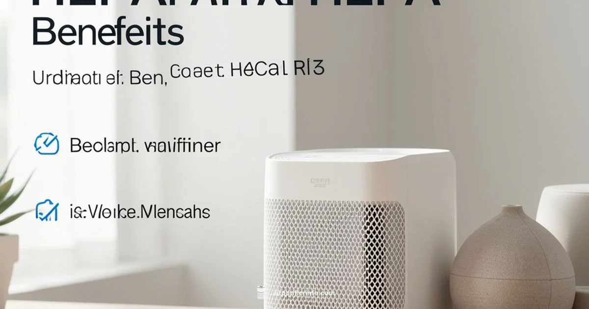 HEPA Facts Guide - Air Purifier Info
