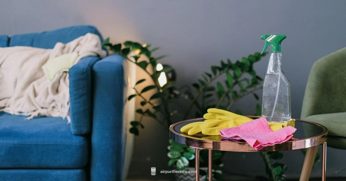 Air Purifier Spray Guide - Air Purifier Info