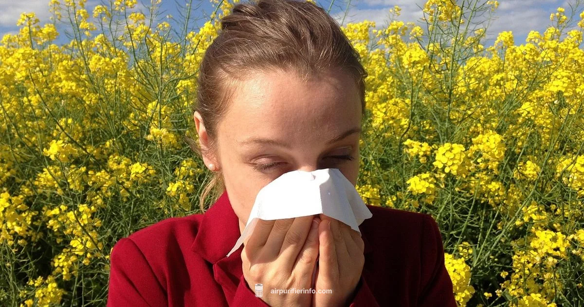 Allergy Free Air - Air Purifier Info