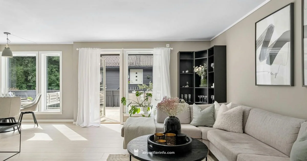 Novaerus Air Purifier - Air Purifier Info