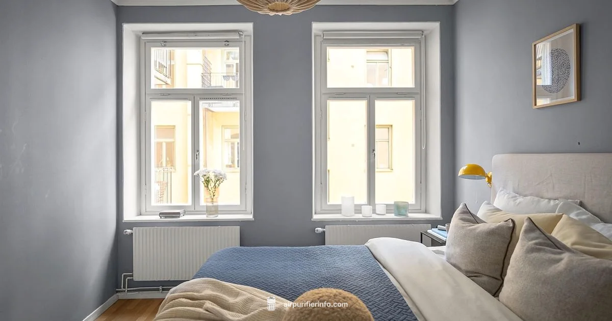 Air Filtration Clarity - Air Purifier Info