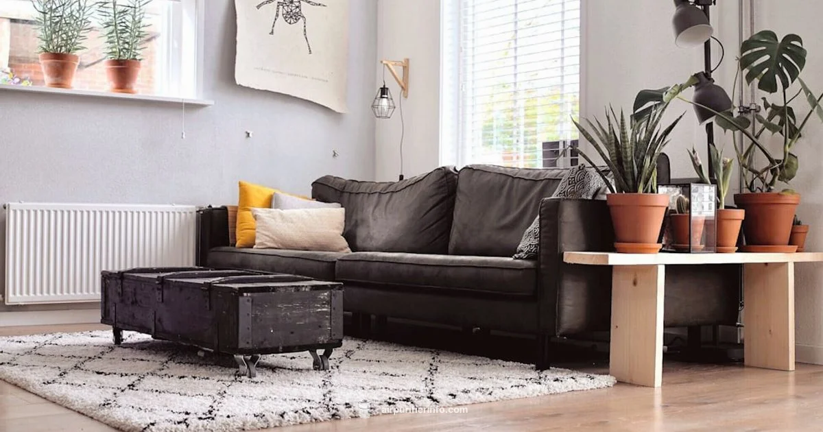 Winix 5300 Review - Air Purifier Info