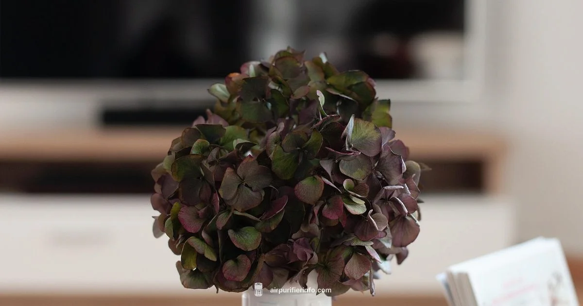 Clean Air Essentials - Air Purifier Info