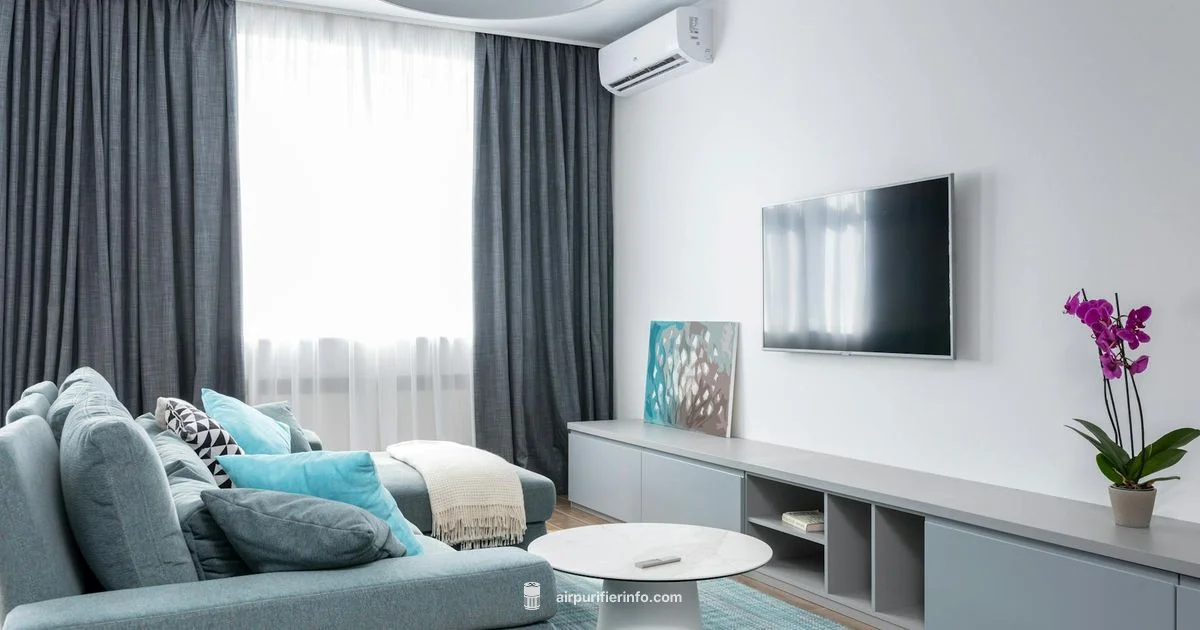 Dyson Filter Care - Air Purifier Info