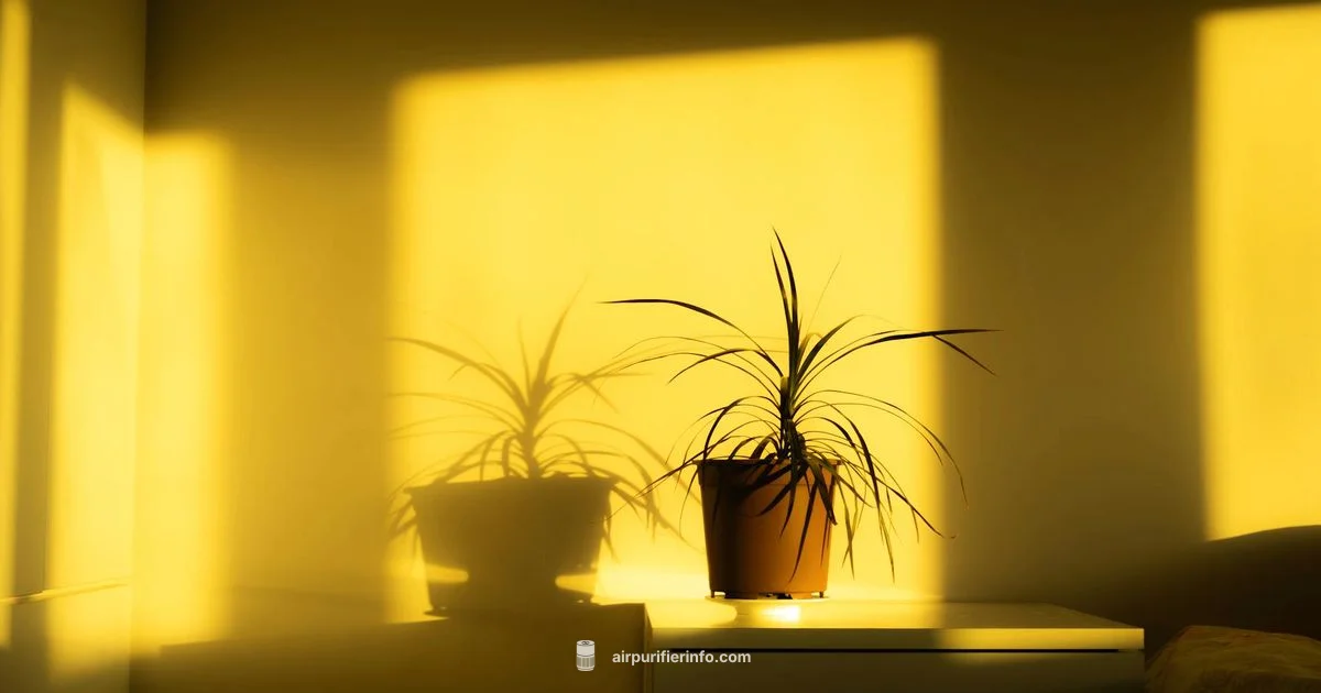 hapf30at Guide - Air Purifier Info