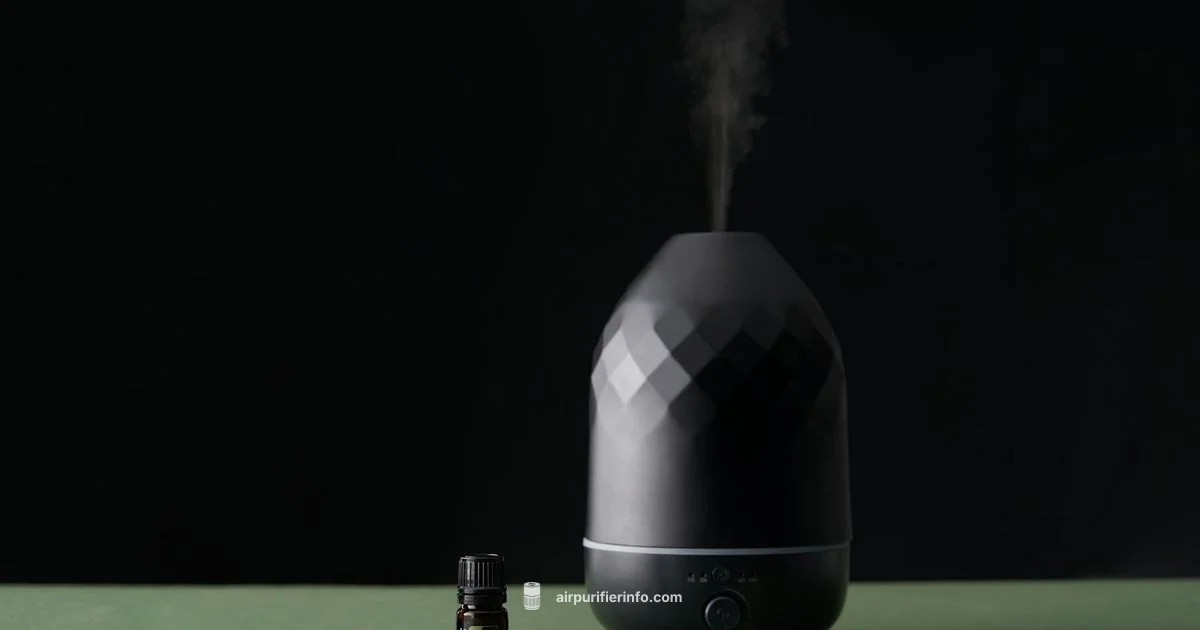 Oil Diffuser Safe - Air Purifier Info