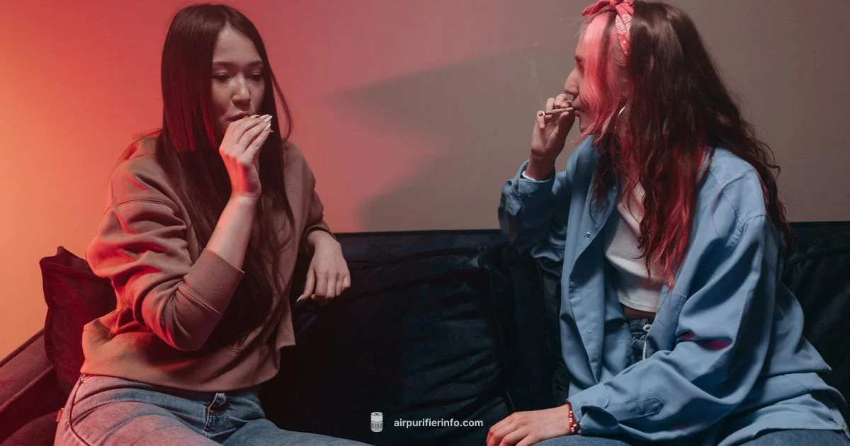 Smoke Eater for Home - Air Purifier Info