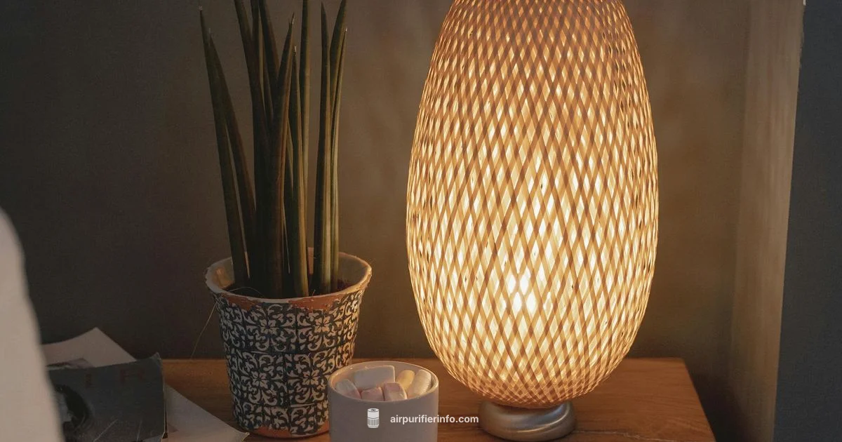 Vital 100 in Action - Air Purifier Info