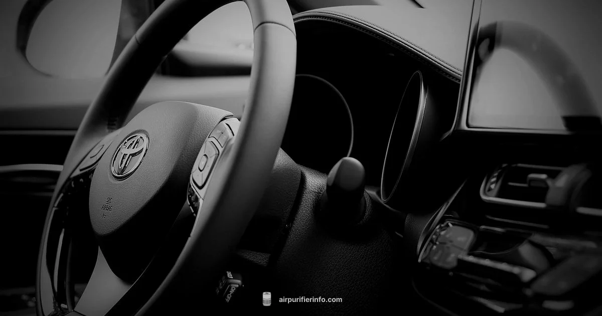 Car Purifier Diffuser - Air Purifier Info