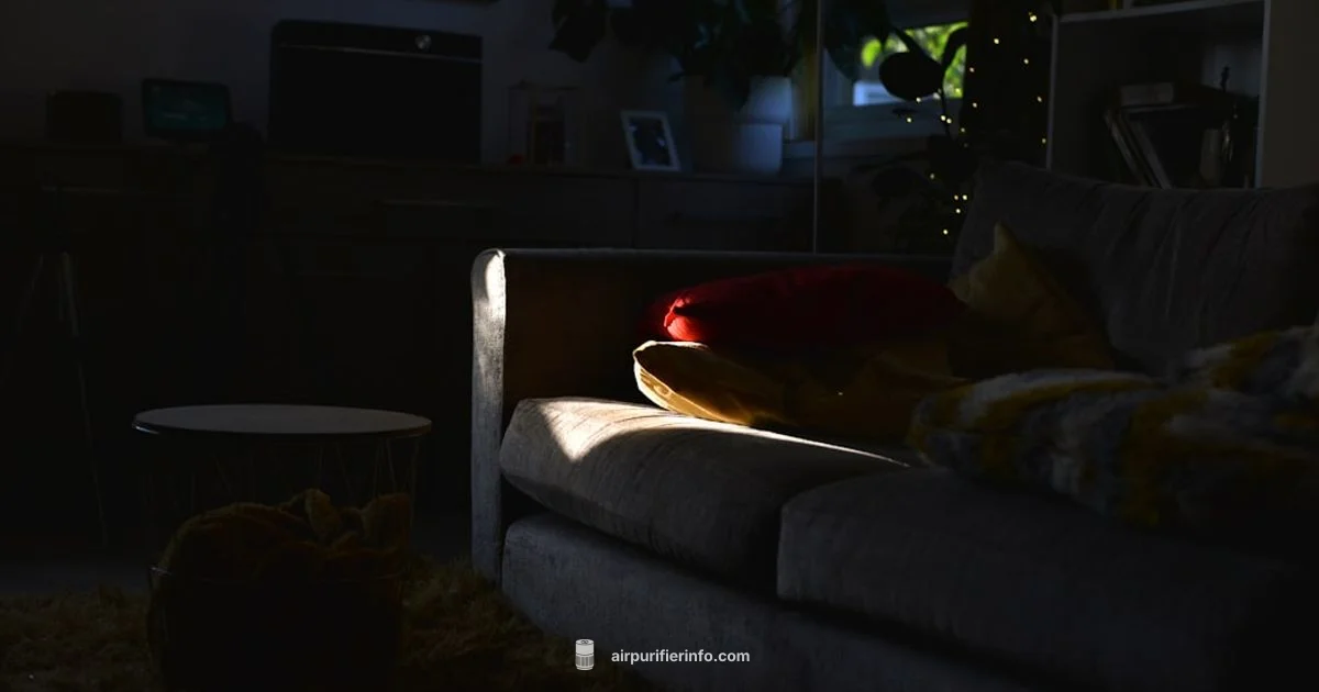 Purifier Filter Types - Air Purifier Info