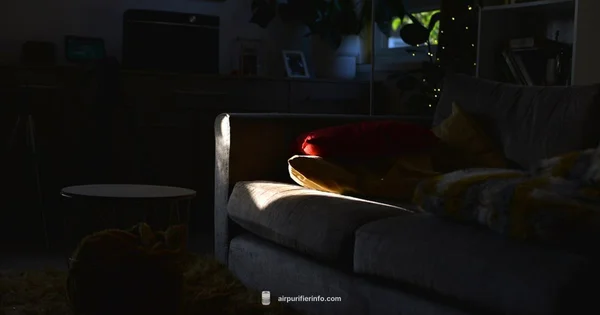 Purifier Filter Types - Air Purifier Info