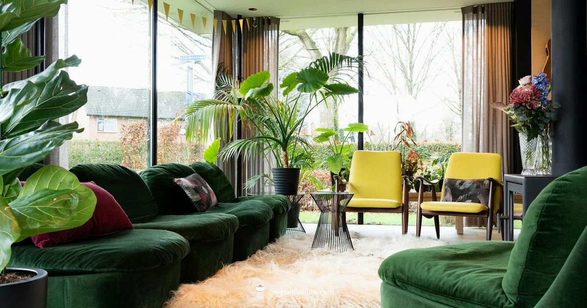 Pionair 2026 Picks - Air Purifier Info