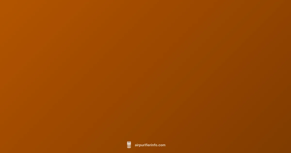 Air Purifier Setup - Air Purifier Info (illustration)