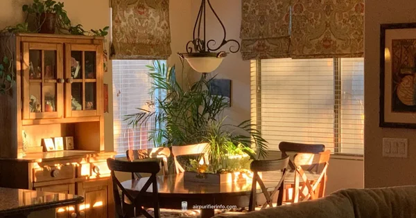 Hybrid IAQ in Action - Air Purifier Info