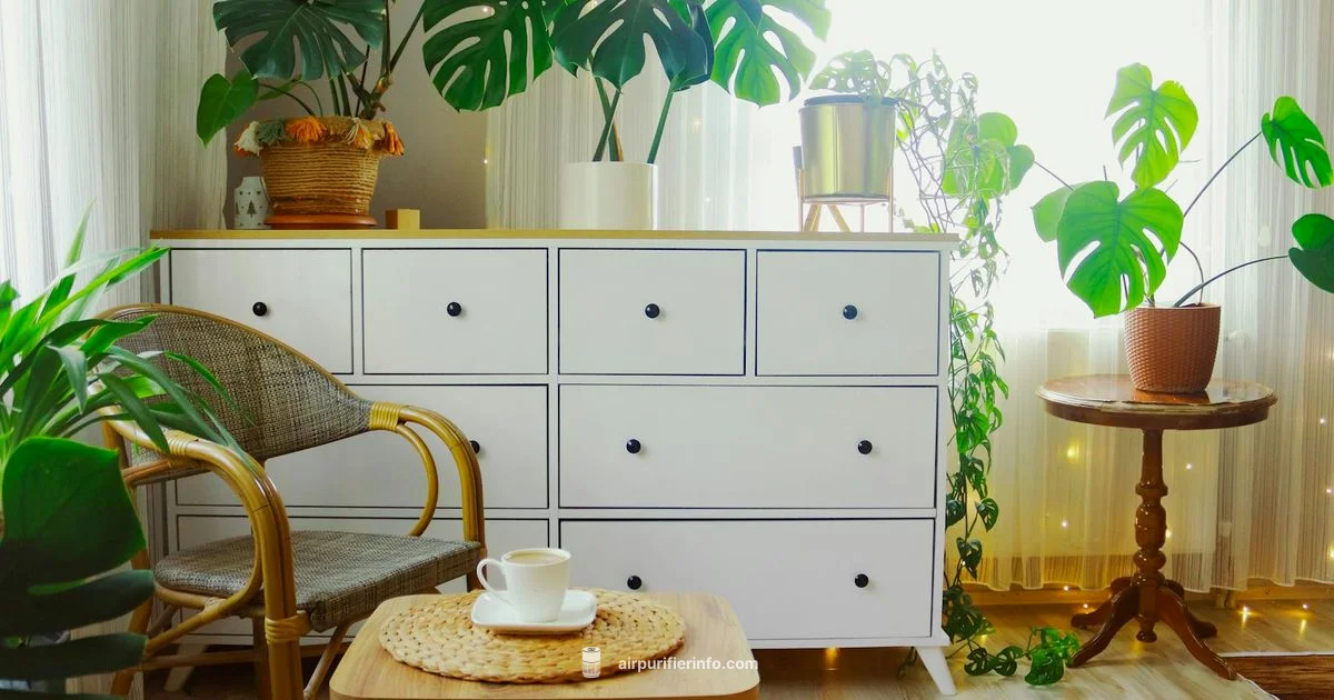 NASA Inspired Purifiers - Air Purifier Info