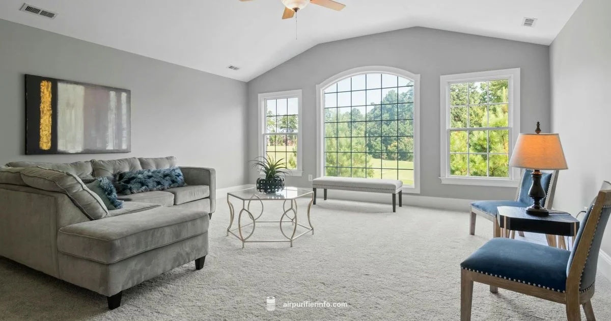 True HEPA Essentials - Air Purifier Info