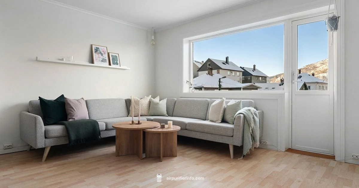 Air Purifier Basics Air Purifier Basics - Air Purifier Info