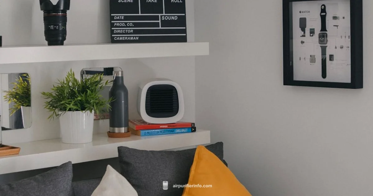 Air Purifier Availability - Air Purifier Info