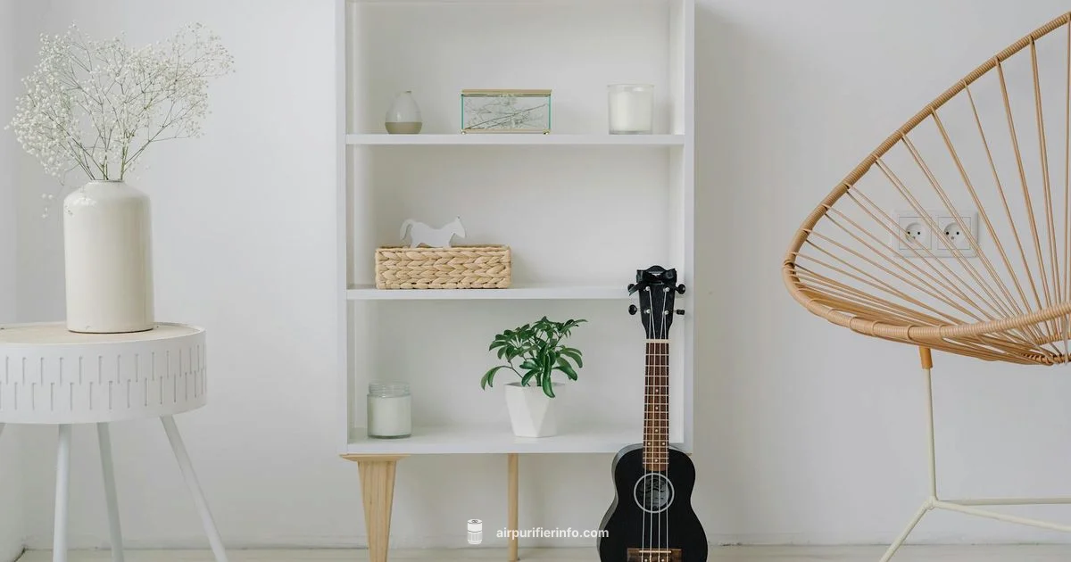 Best Air Purifier 2026 - Air Purifier Info