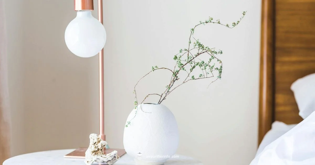 Compact Purifier - Air Purifier Info