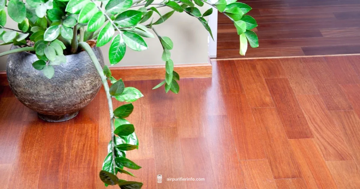 Floor Placement Guide - Air Purifier Info