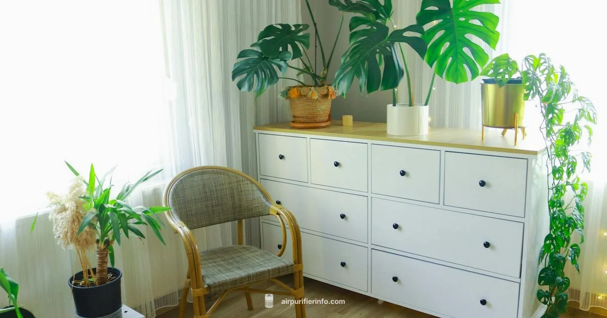 Mi Air Purifier 2 Review Mi Air Purifier 2 Review - Air Purifier Info