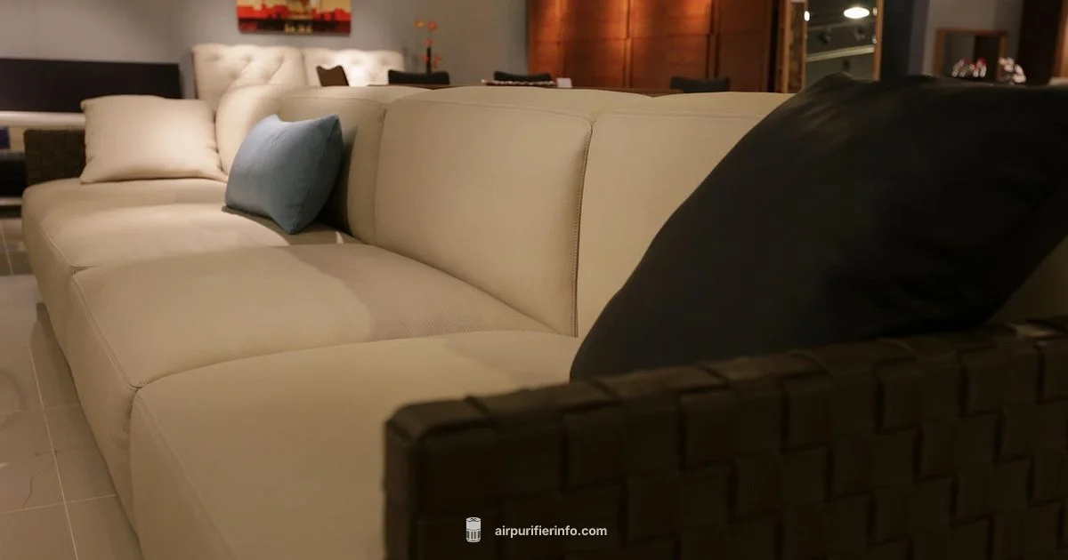 Clean Air Now - Air Purifier Info