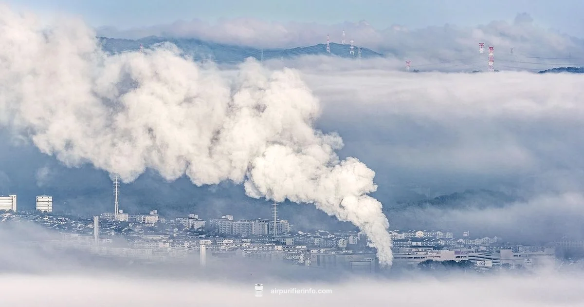 Dyson Formaldehyde Guide - Air Purifier Info