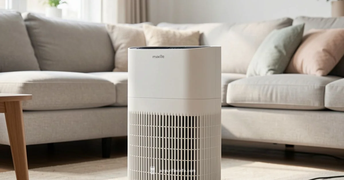 Maxlite Air Purifier - Air Purifier Info