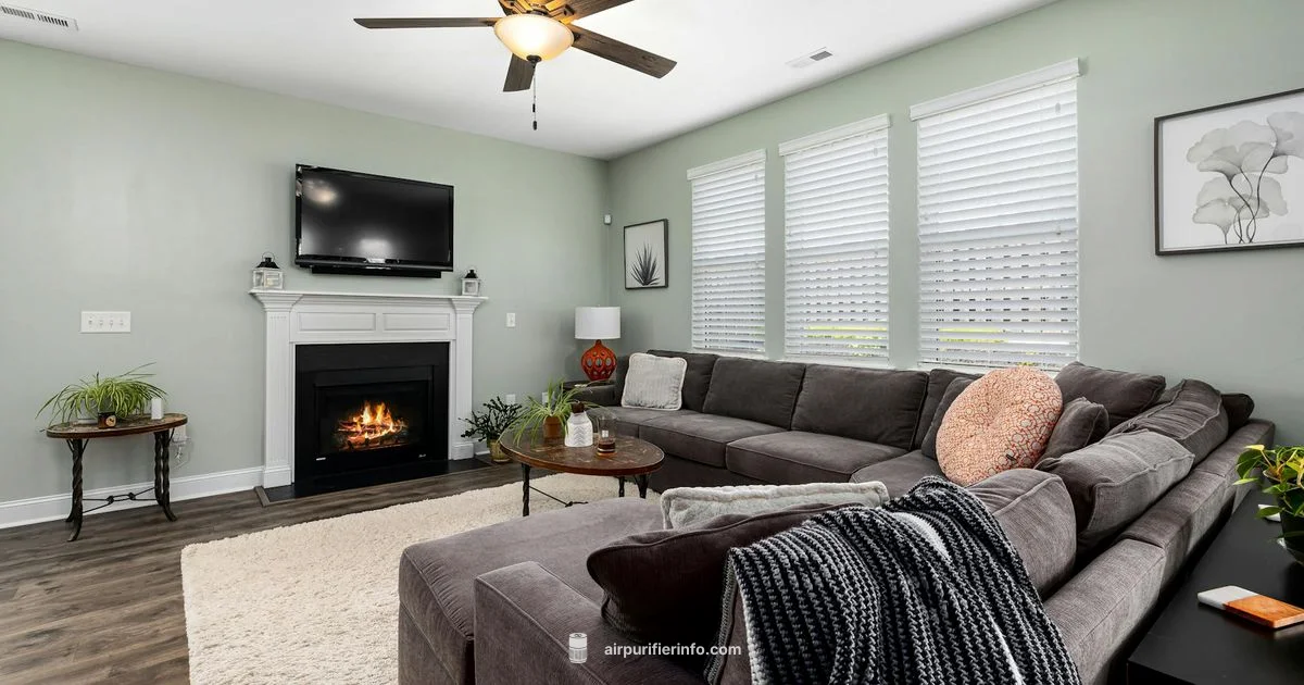 Air Purifier Choice - Air Purifier Info