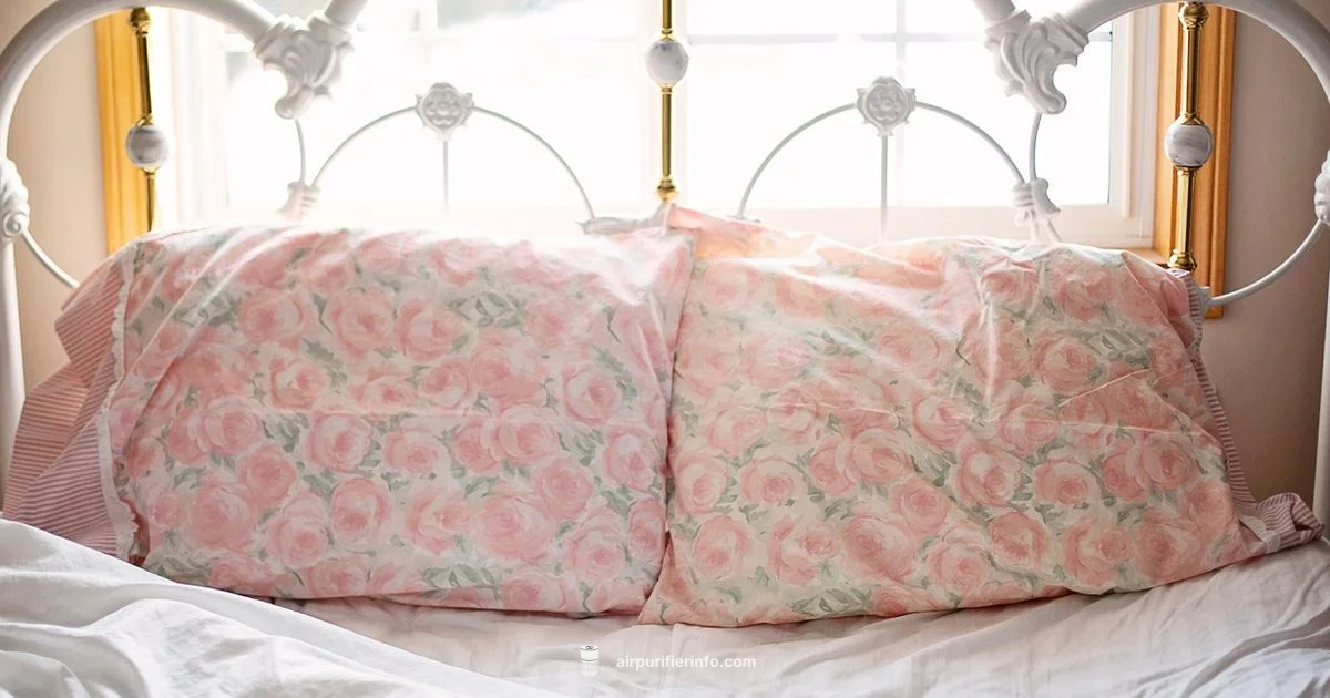 Nighttime Air Comfort - Air Purifier Info