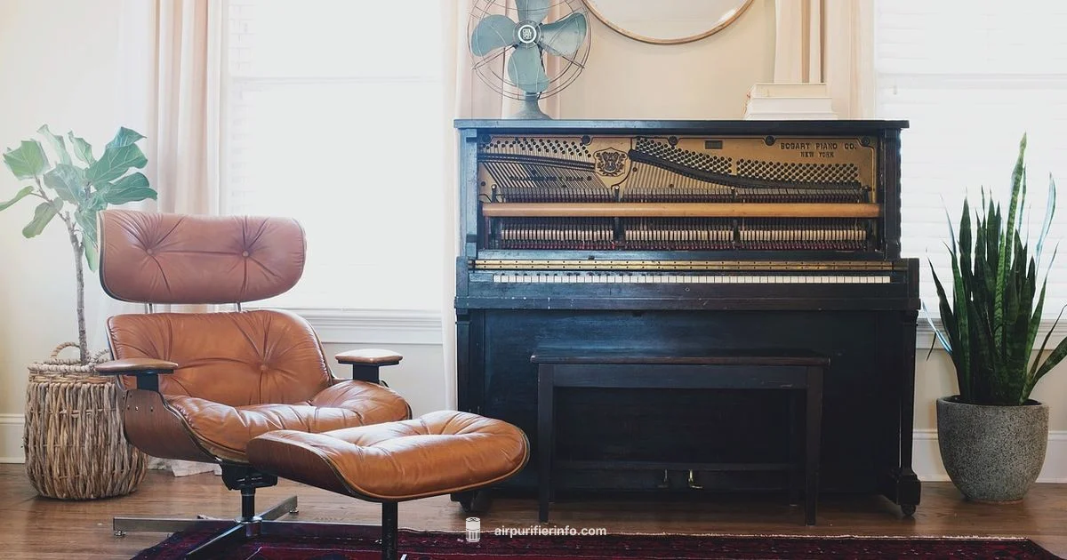Air Purifier Buying Guide - Air Purifier Info