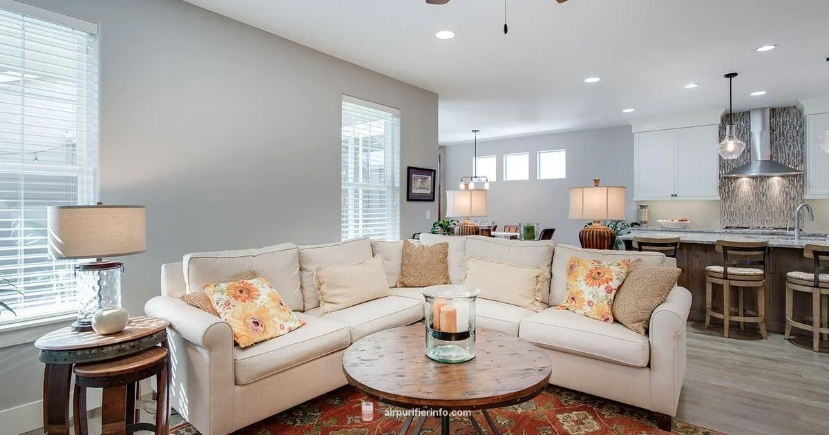 Quiet, Efficient Purifier - Air Purifier Info
