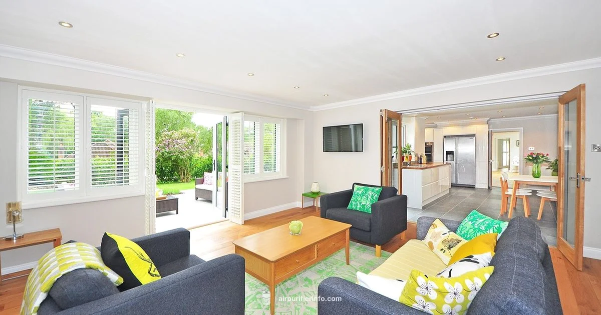 Top Air Purifier Picks - Air Purifier Info