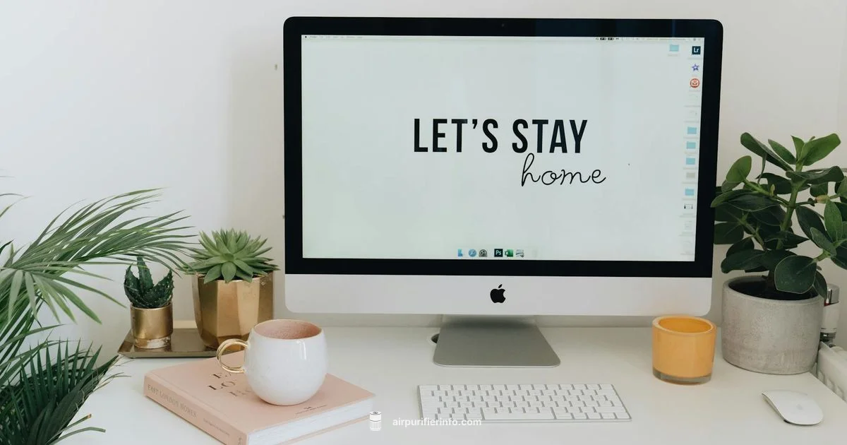 Dorm Room Purifier Dorm Room Purifier - Air Purifier Info