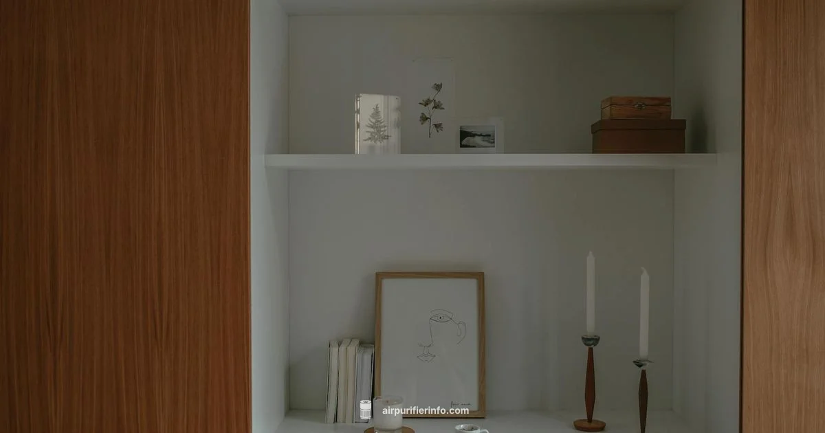 Plasmacluster Air Guide - Air Purifier Info