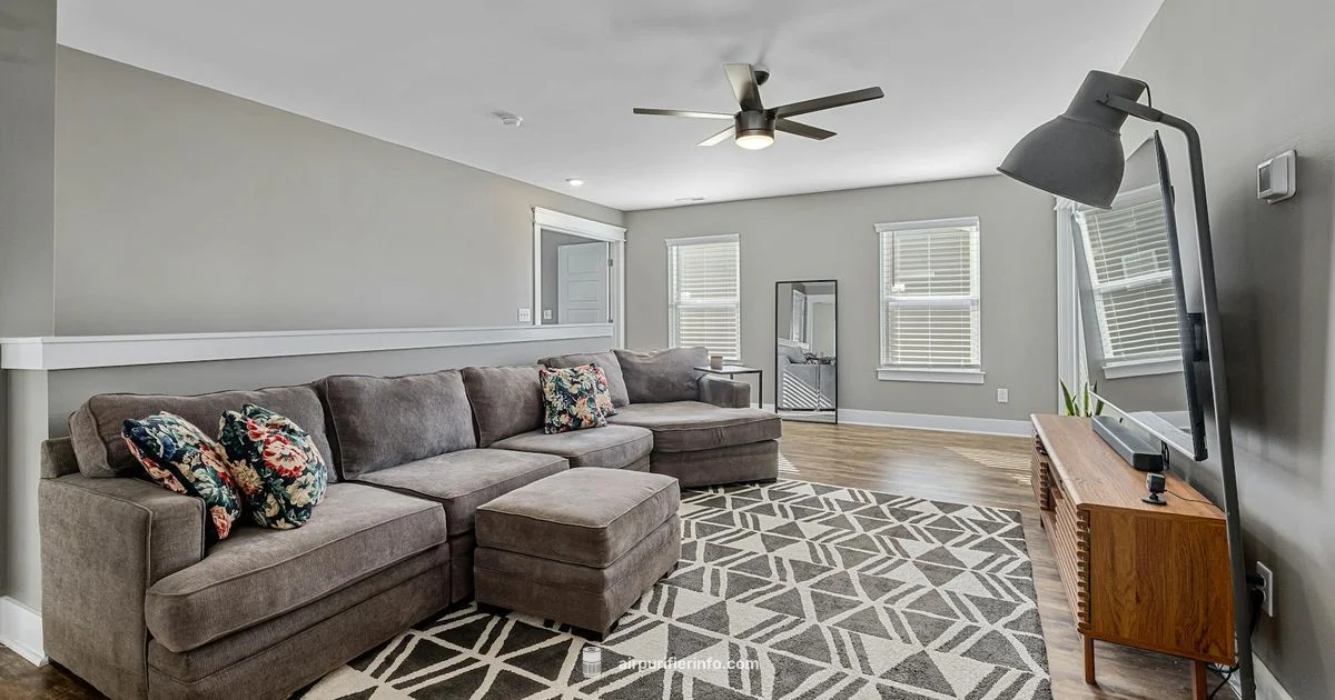 Mooka vs Levoit - Air Purifier Info