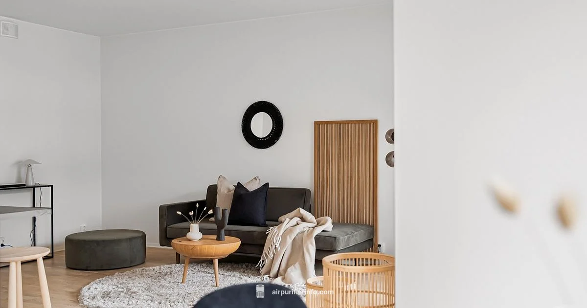 Home Purifier Basics Home Purifier Basics - Air Purifier Info