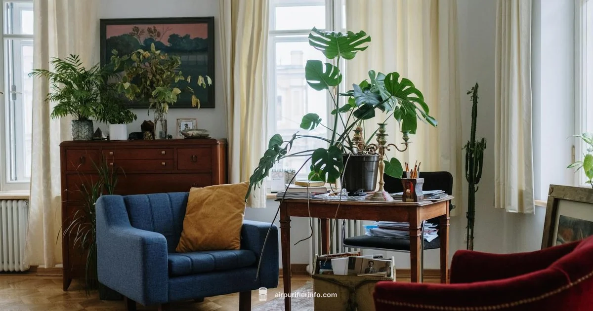 Clean Air, Calm Room - Air Purifier Info