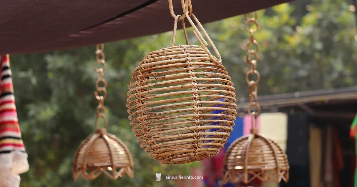 Delhi Purifier Guide - Air Purifier Info