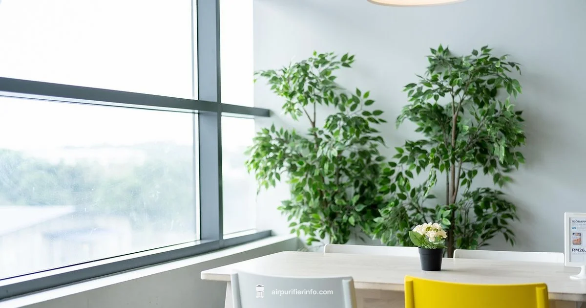 Air Purifier Basics Air Purifier Basics - Air Purifier Info