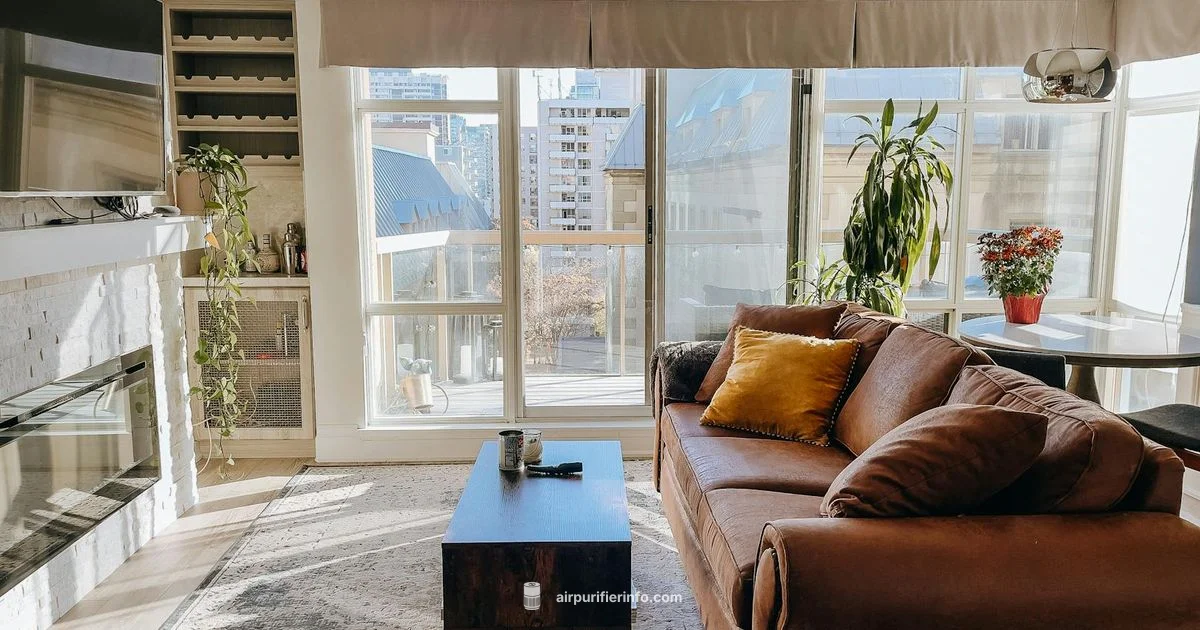 Cleaner Air at Home - Air Purifier Info