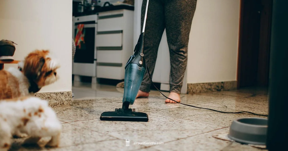 Pet Odor Purifier Pet Odor Purifier - Air Purifier Info