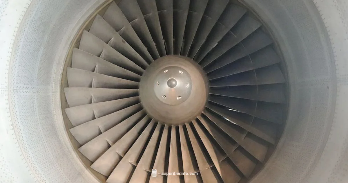 Inside an Air Purifier Inside an Air Purifier - Air Purifier Info