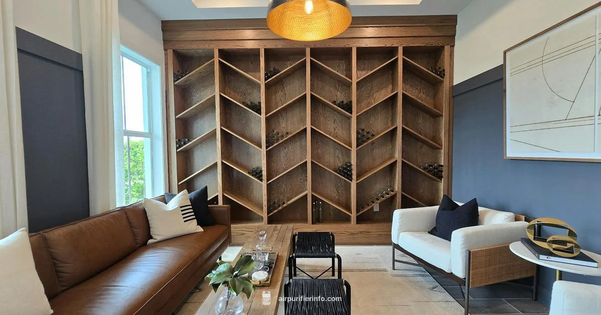 Clean Air Now - Air Purifier Info