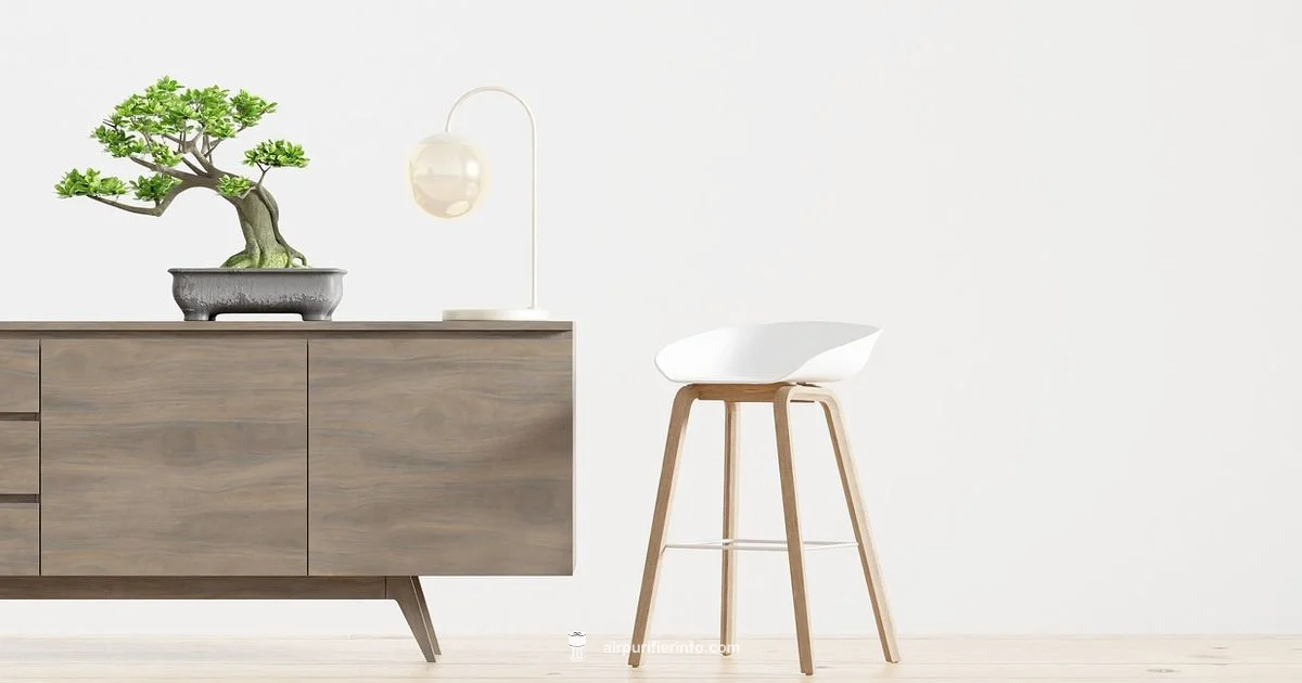 Cleaner Indoor Air - Air Purifier Info