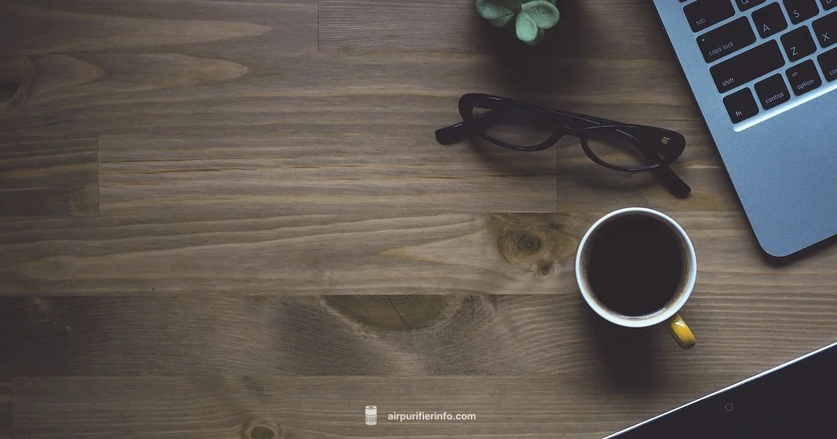 Quiet, Efficient Purification - Air Purifier Info