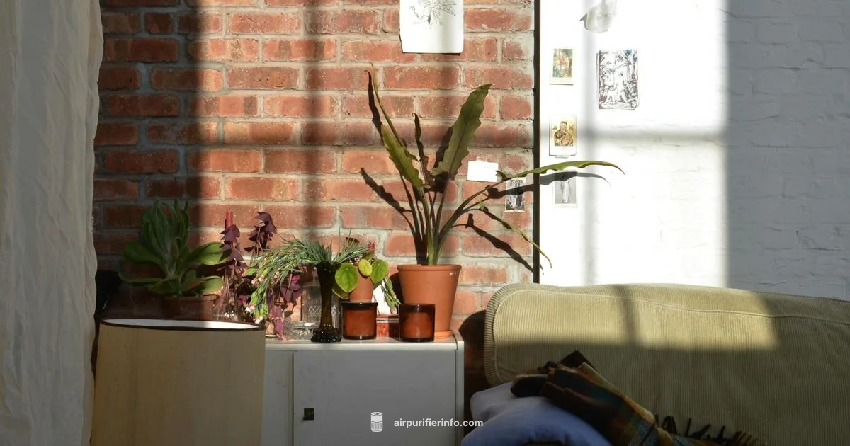 Core 300 in Action - Air Purifier Info