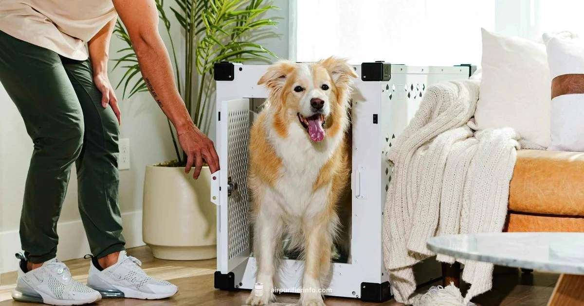 Pet Purifiers Pet Purifiers - Air Purifier Info